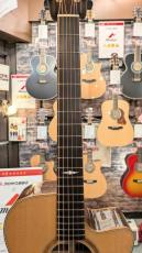 Morris SE-102 【モリダイラ楽器 特選モデル】_6