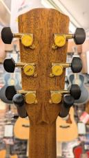 Morris SE-102 【モリダイラ楽器 特選モデル】_7