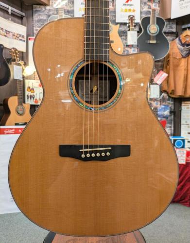 Morris S-102 III 【モリダイラ楽器 特選モデル】