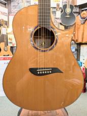 Morris S-96 III 【モリダイラ楽器 特選モデル】