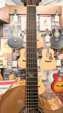 Morris S-96 III 【モリダイラ楽器 特選モデル】_6