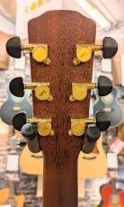 Morris S-96 III 【モリダイラ楽器 特選モデル】_7