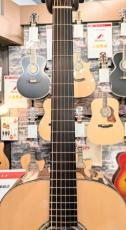 Morris MW-101BT Baritone Custom 【モリダイラ楽器 特選モデル】_6