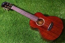 aNueNue AMM2 Concert_2