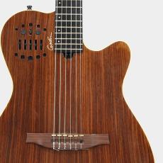 Godin Multiac ACS SA Rosewood HG *2017_5