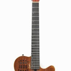 Godin Multiac ACS SA Rosewood HG *2017_6