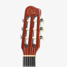 Godin Multiac ACS SA Rosewood HG *2017_7