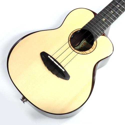 aNueNue MOON BIRD Series aNN-UC200E