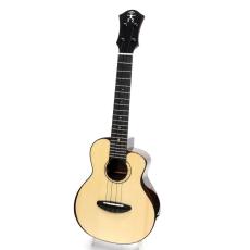 aNueNue MOON BIRD Series aNN-UC200E_2