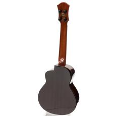 aNueNue MOON BIRD Series aNN-UC200E_3