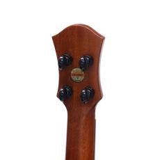 aNueNue MOON BIRD Series aNN-UC200E_7