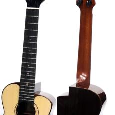 aNueNue MOON BIRD Series aNN-UC200E_8