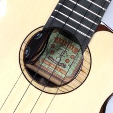 aNueNue MOON BIRD Series aNN-UC200E_9