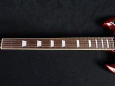 Tokai SG101 CH_4