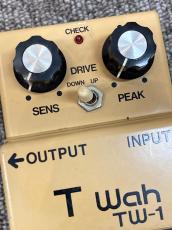 BOSS TW-1_4
