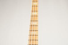 FUJIGEN KNJB100MBBM -Vintage Natural- [4.54kg]_5