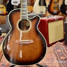 Takamine DSP532 VTS(HC)