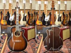 Takamine DSP532 VTS(HC)_2