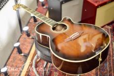 Takamine DSP532 VTS(HC)_4