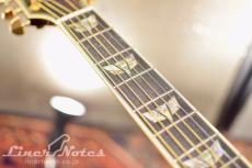 Takamine DSP532 VTS(HC)_7