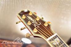 Takamine DSP532 VTS(HC)_8