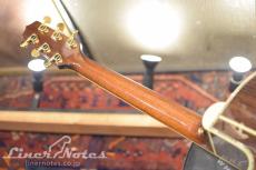 Takamine DSP532 VTS(HC)_10