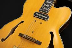 Ibanez PM3C NAL_6