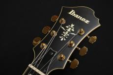 Ibanez PM3C NAL_9