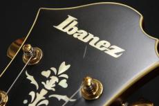 Ibanez PM3C NAL_10