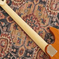 Black Smoker Standard Series Futura-S FL HH Monky Pod Top,Fiji Mahogany Back 【展示入替特価】_10