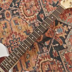 SCHECTER OL-PT-TH/BLD (Blonde)_6