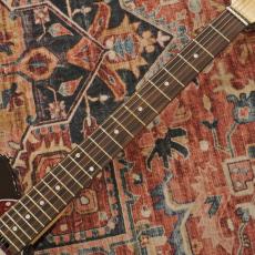SCHECTER OL-PT-TH/STBK (See Thru Black)_6
