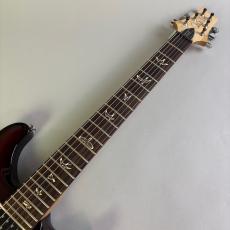 Paul Reed Smith [PRS] PRS Swamp Ash Special NF Angry Larry_3