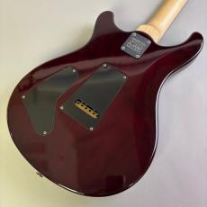 Paul Reed Smith [PRS] PRS Swamp Ash Special NF Angry Larry_5