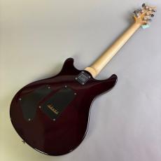 Paul Reed Smith [PRS] PRS Swamp Ash Special NF Angry Larry_6