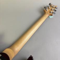 Paul Reed Smith [PRS] PRS Swamp Ash Special NF Angry Larry_7