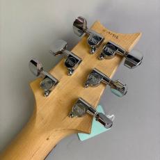 Paul Reed Smith [PRS] PRS Swamp Ash Special NF Angry Larry_8