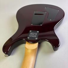 Paul Reed Smith [PRS] PRS Swamp Ash Special NF Angry Larry_10