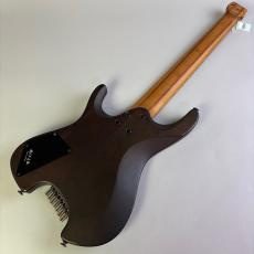 Ibanez QX527_6