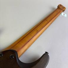 Ibanez QX527_7
