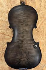 David Gage 【エレキバイオリン】 RV5PeW "TRANS BLACK Finish" 【池袋店】_4