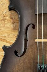 David Gage 【エレキバイオリン】 RV5PeW "TRANS BLACK Finish" 【池袋店】_6