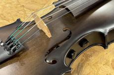 David Gage 【エレキバイオリン】 RV5PeW "TRANS BLACK Finish" 【池袋店】_10