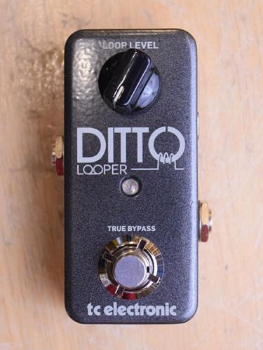 tc electronic DITTO/Looper