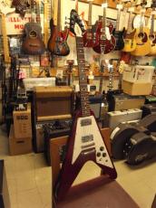 Aria Pro II FV-550_8
