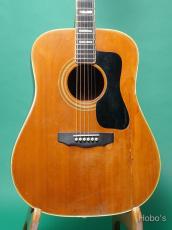 Guild D-55 NT
