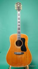 Guild D-55 NT_2