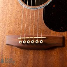 Martin GPC-X2E Ziricote_3
