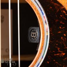 Martin GPC-X2E Ziricote_5
