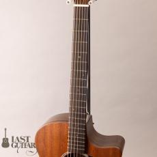 Martin GPC-X2E Ziricote_7